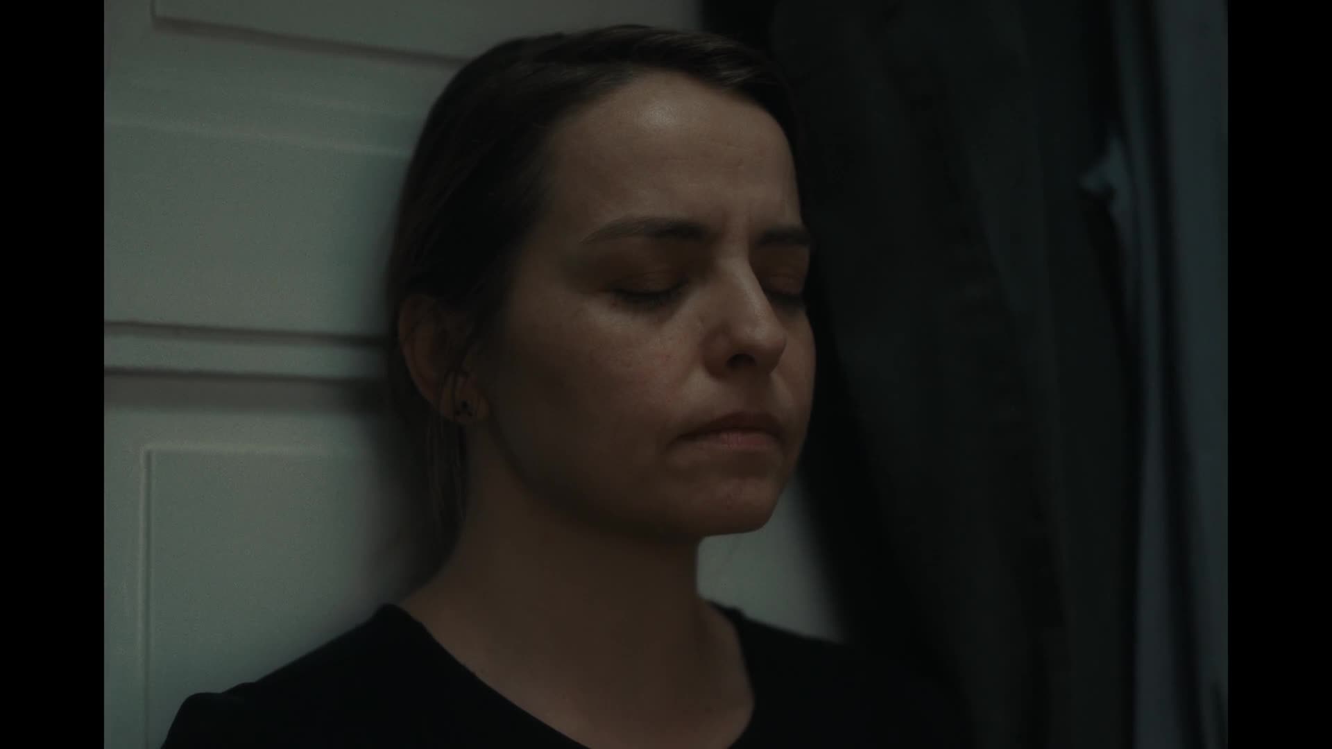 Rok vdovy 2024 CZ SK drama HD 1080p mkv