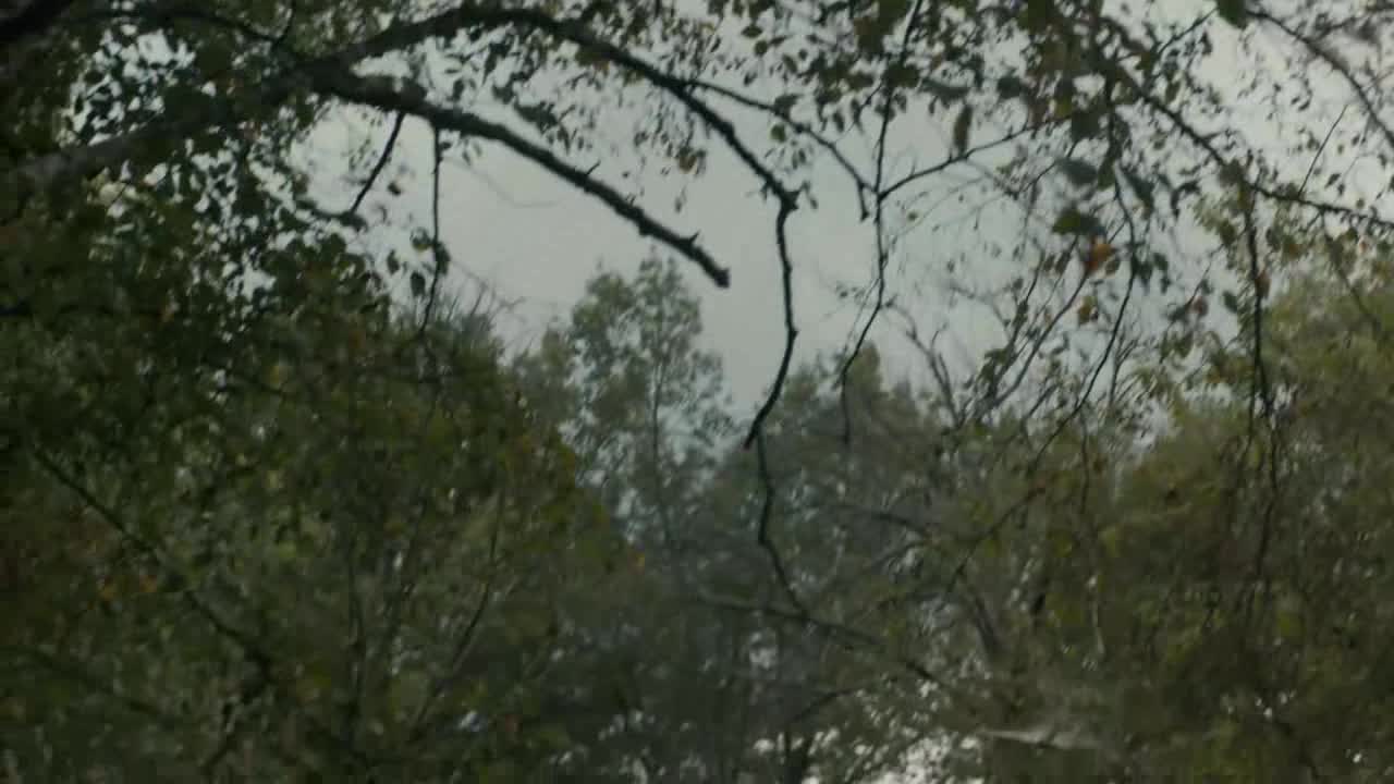 Becky (Joel McHale,Kevin James,Lulu Wilson 2020 Akční Drama Horor Thriller Bdrip 1080p ) Cz dabing avi