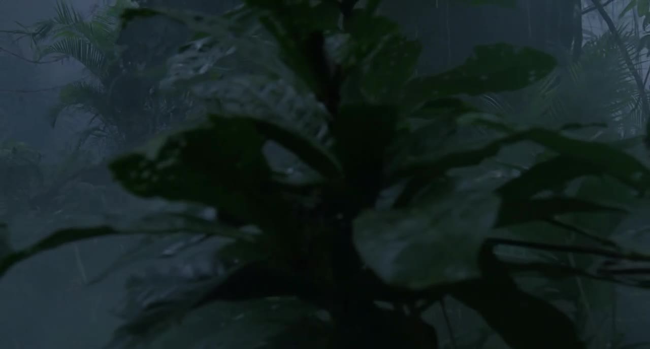 Predátor (Arnold Schwarzenegger,Carl Weathers,Elpidia Carrillo 1987 Akční Sci Fi Horor Bdrip 1080p ) Cz dabing avi