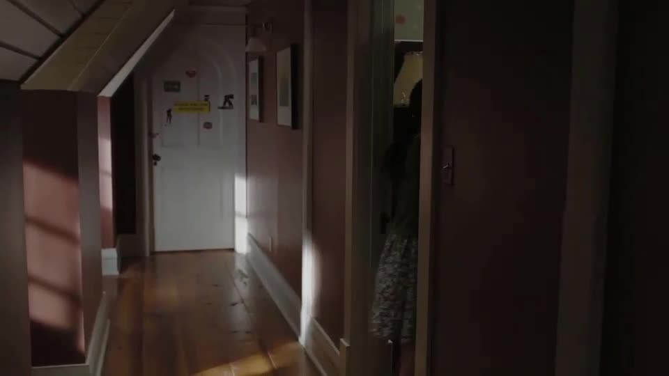 Nezvaná (Emily Browning,Arielle Kebbel,David Strathairn 2009 Drama Horor Mysteriózní Thriller Bdrip 1080p ) Cz dabing avi