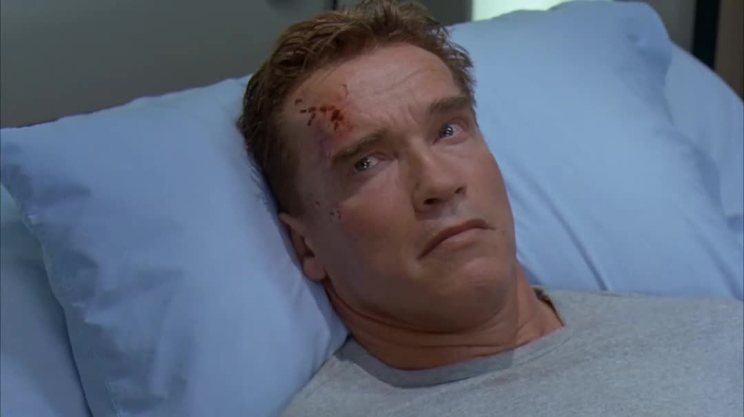 Protiúder (Arnold Schwarzenegger,Francesca Neri,Elias Koteas 2002 Akční Thriller Bdrip 1080p ) Cz dabing+titulky mkv