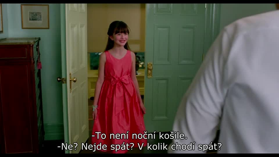 Já, kocour Devět životů (Jennifer Garner,Robbie Amell,Kevin Spacey 2016 Fantasy Komedie Drama Rodinný Bdrip 1080p ) Cz+Sk dabing avi