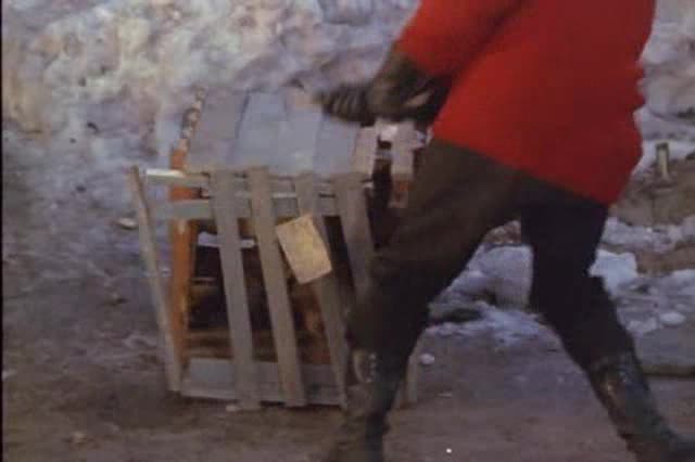 Volání divočiny =1972 CZ avi
