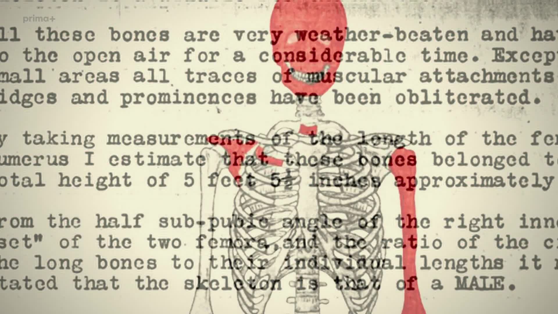 Desifrovane konspirace 06 [Conspiracies Decoded Finding Amelia Earhart] (cz 1080p) mkv