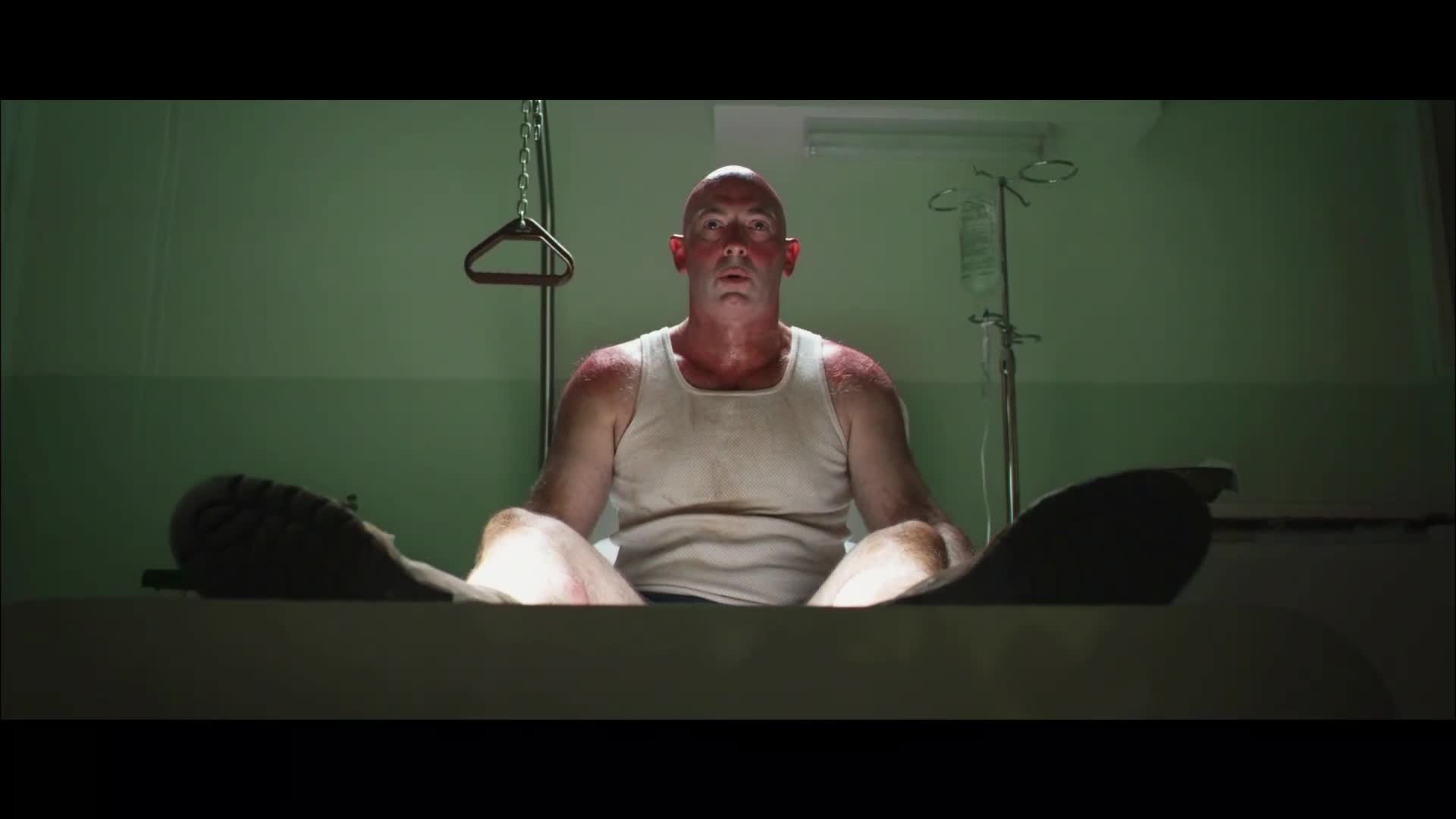 Red Dog psí legenda (Josh Lucas, Koko, Rachael Taylor 2011 Komedie Drama Rodinný Romantický Životopisný Bdrip 1080p ) en+Cz dabing avi