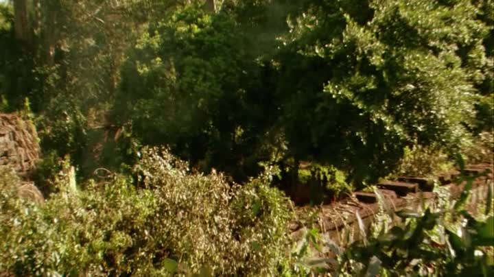 Dva bratři (Guy Pearce,Jean Claude Dreyfus,Philippine Leroy Beaulieu 2004 Dobrodružný Drama Rodinný Bdrip 1080p ) Cz titulky mp4