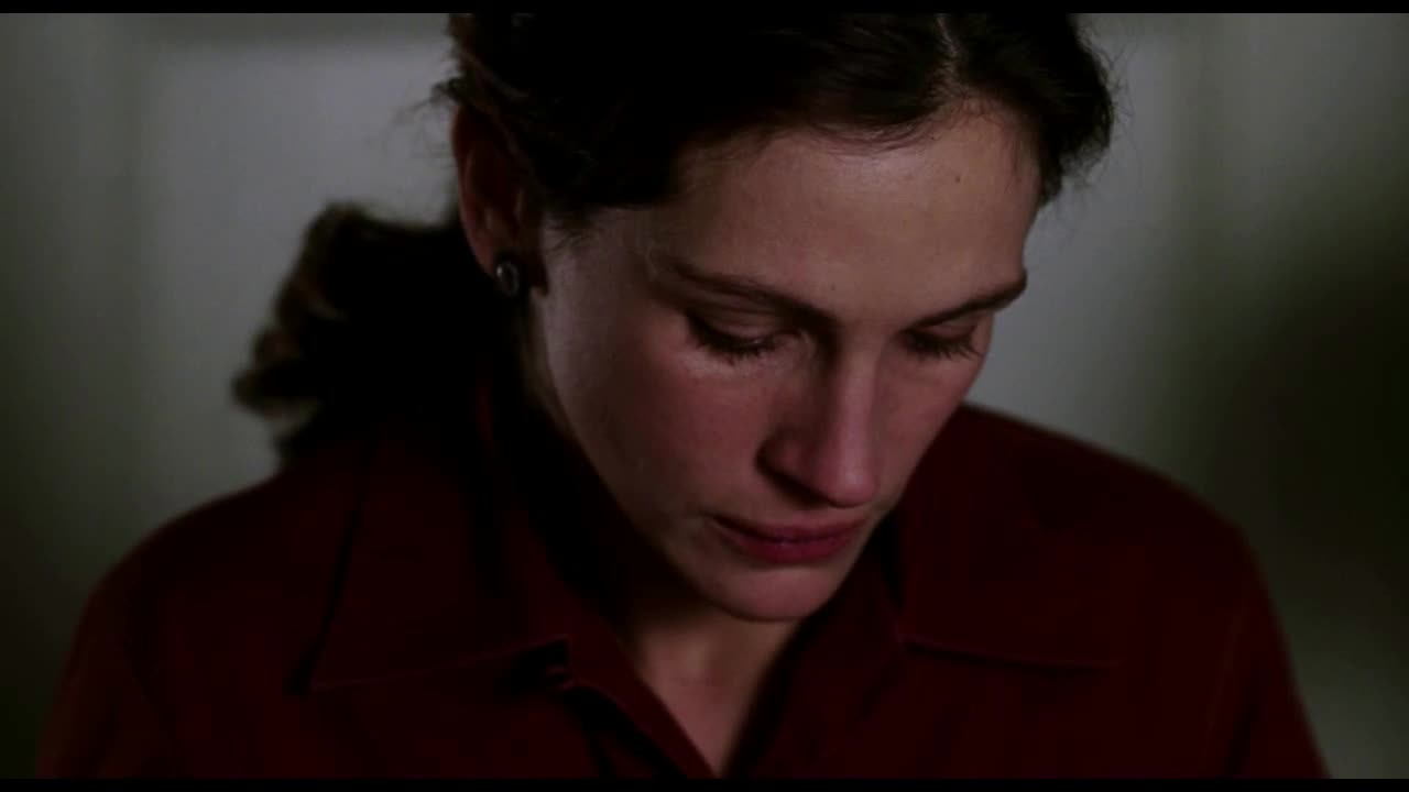 Úsměv Mony Lisy (Julia Roberts, Kirsten Dunst, Julia Stiles 2003 Drama Komedie Romantický Bdrip 1080p ) en+Cz+Sk dabing avi
