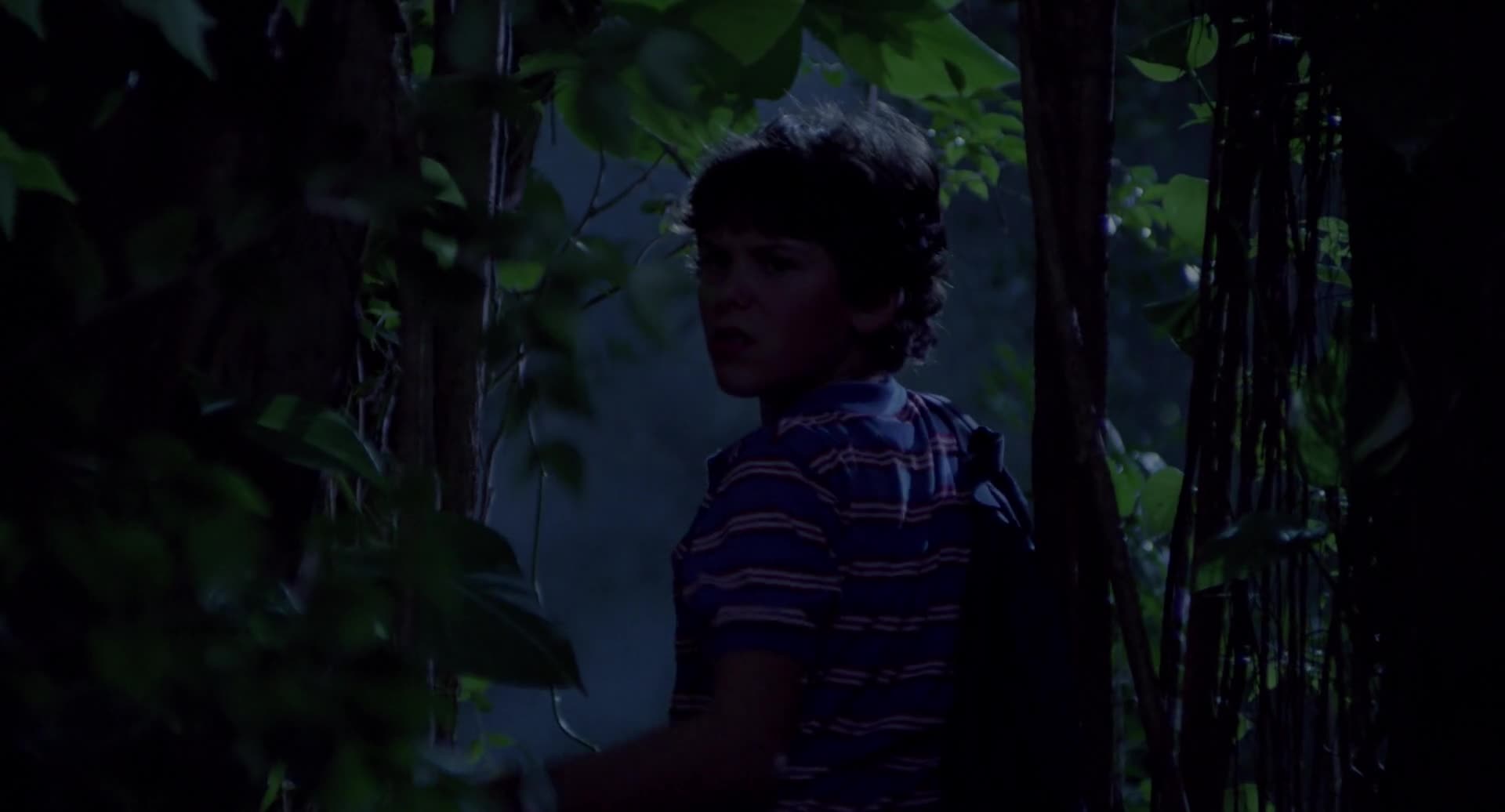 O Vôo do Navegador (1986) Tri Áudio 1080p BluRay x264 mkv