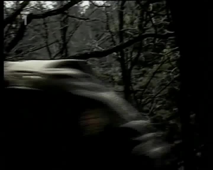 Případ medvědí jeskyně (Vítězslav Jandák, Jiří Tomek, Jiří Bartoška 1988 Krimi Hdtvrip 1080p ) Cz dabing mkv
