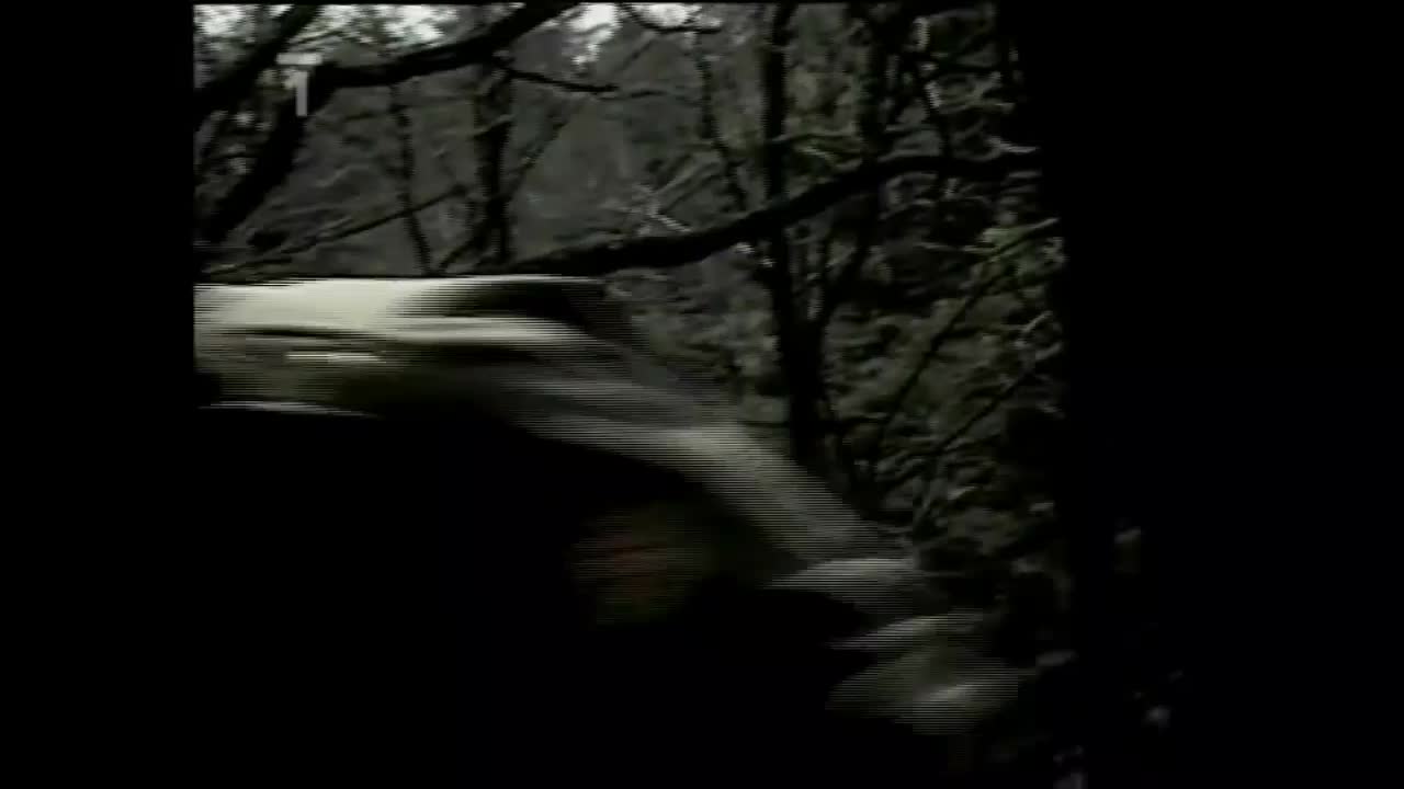 Případ medvědí jeskyně (Vítězslav Jandák, Jiří Tomek, Jiří Bartoška 1988 Krimi Hdtvrip 1080p ) Cz dabing mp4
