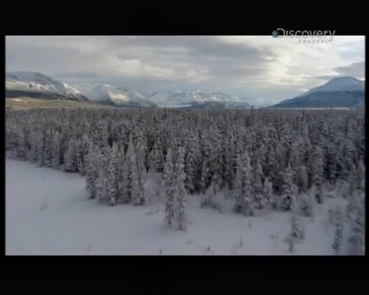 Aljaska posledni divocina 003 SD 01x01 Na jiznim pobrezi Aljasky mkv