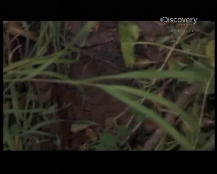 Aljaska posledni divocina 019 SD 03x07 Jeste tady mkv