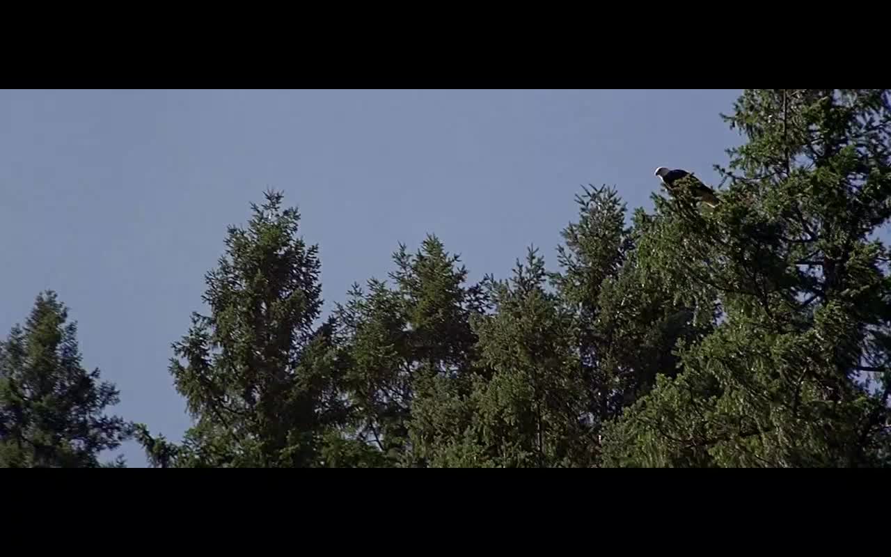 Divoká řeka 1994 CZ dab 720p mkv