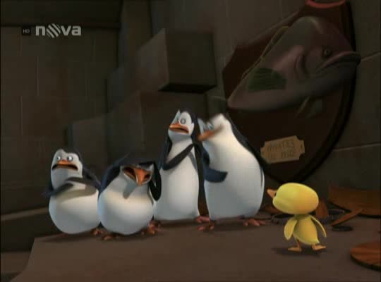 Tučňáci z Madagaskaru S02E06 Tvrďák Vejca avi