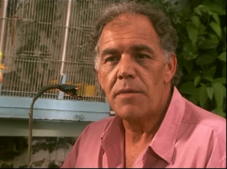 060 Rosamunde Pilcher Královna noci 2005 avi