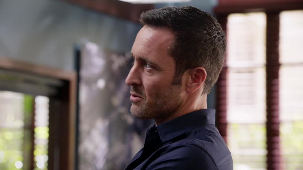 Hawaii 5 0 S09E19 Síla barev cz tit mkv