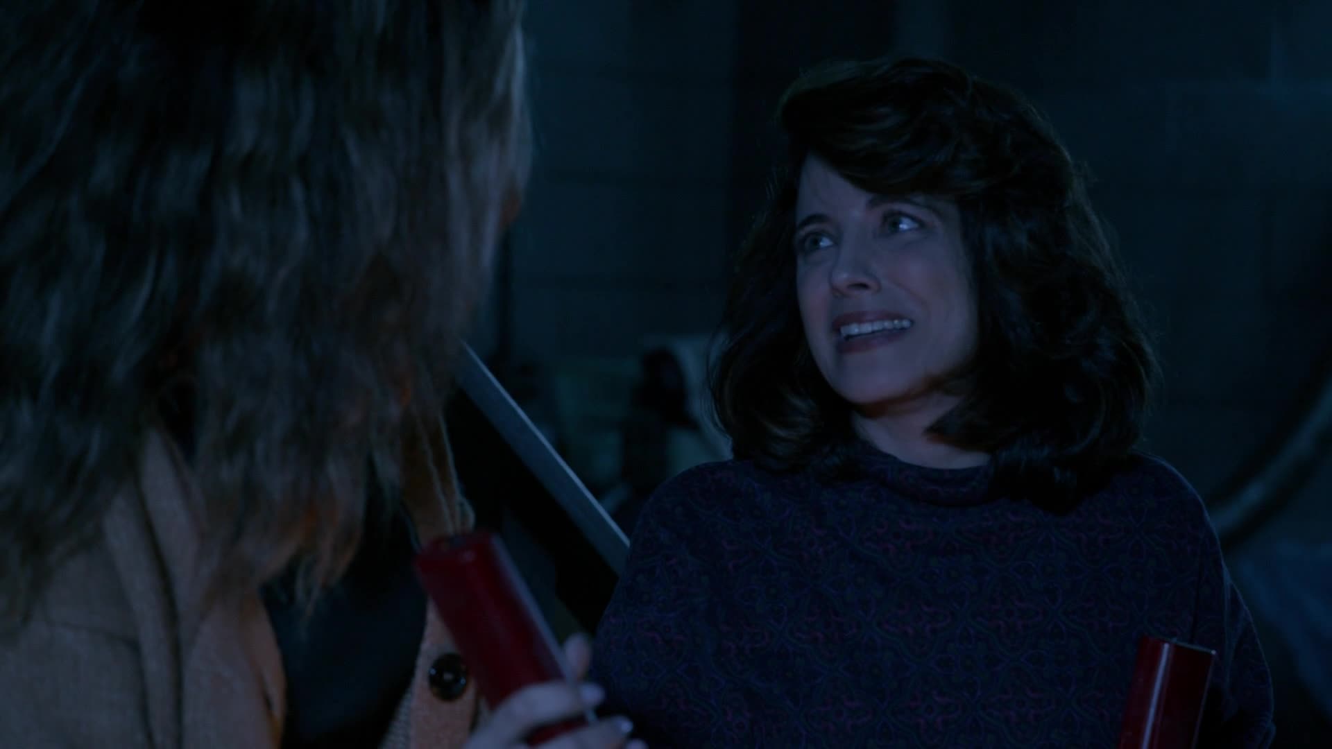 Ted S01E06 08 2024 CZ dab 1080p Hledám Susan Zn Zoufale mkv