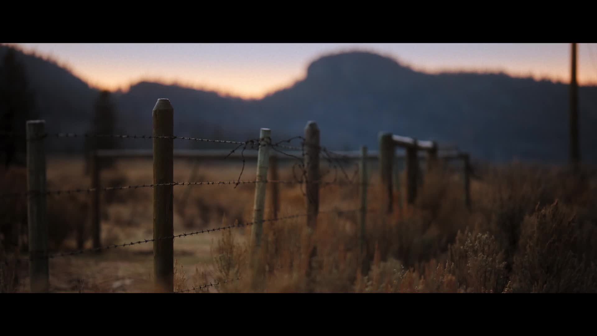 Poslední boj Ellen Coleové 2024 CZ dabing HD 1080p mkv