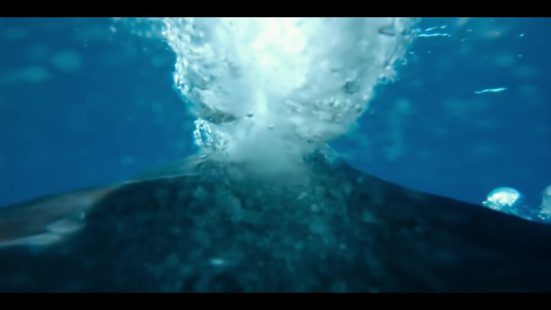 Naše oceány S01E01 Tichy ocean CZ dabing HD 1080p mkv