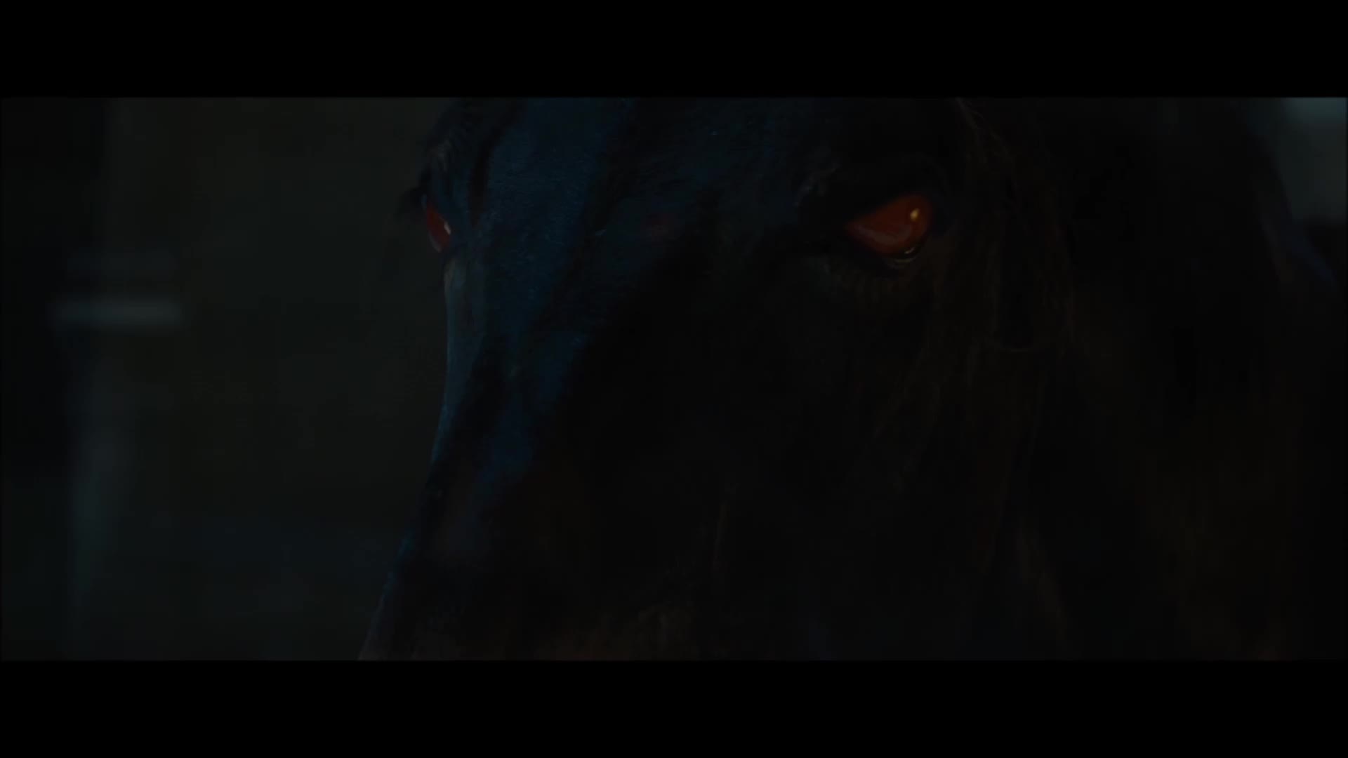 pekelný kůň hell horse mp4