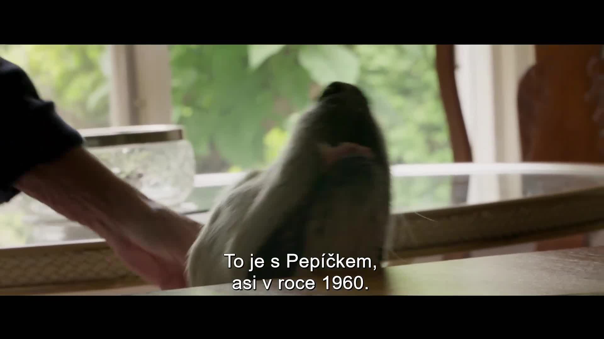 Králové Šumavy [2024] dokumentární 1080p mkv