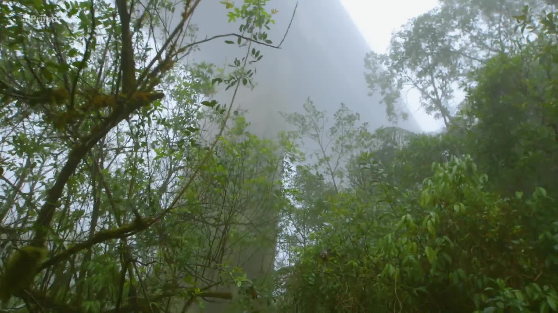 Zapomenute megastavby S02E08 [Lost Highway In The Rainforest] (cz 1080p) mkv