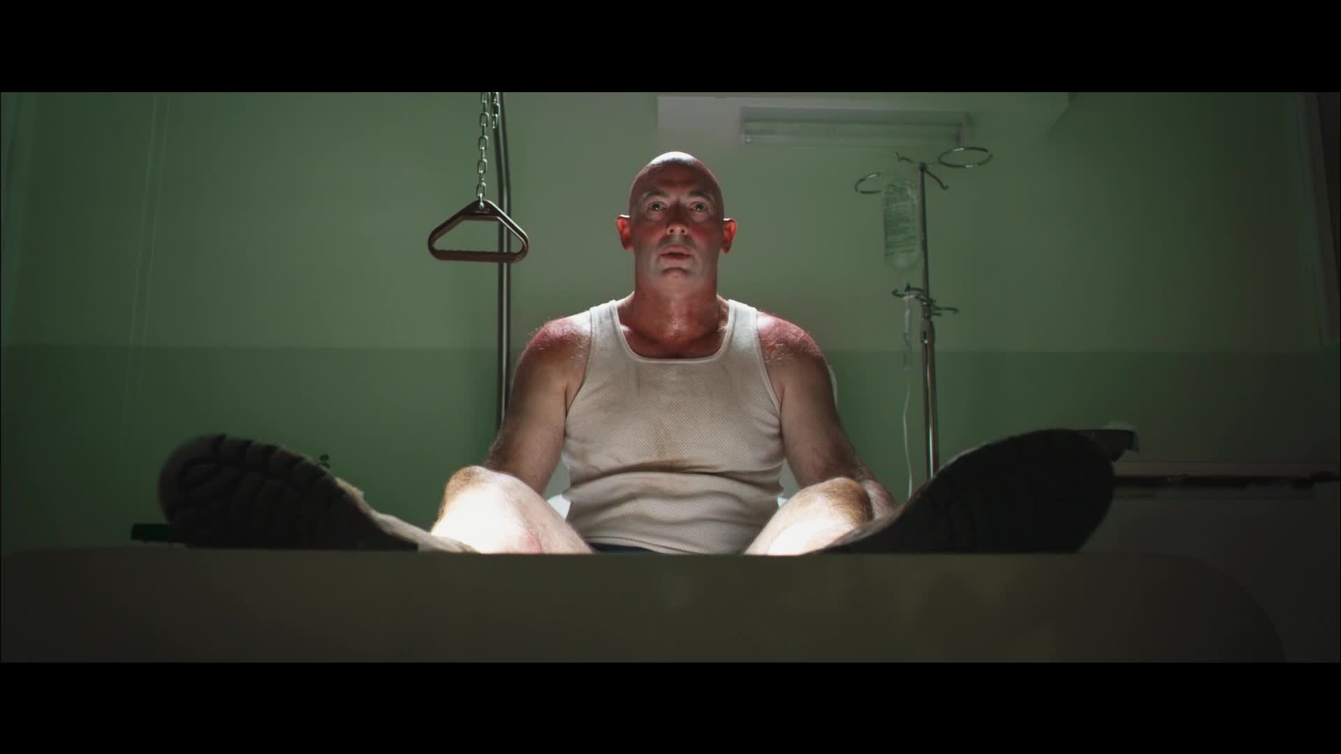 Red Dog psí legenda (Josh Lucas, Koko, Rachael Taylor 2011 Komedie Drama Rodinný Romantický Životopisný Bdrip 1080p ) en+Cz dabing mkv