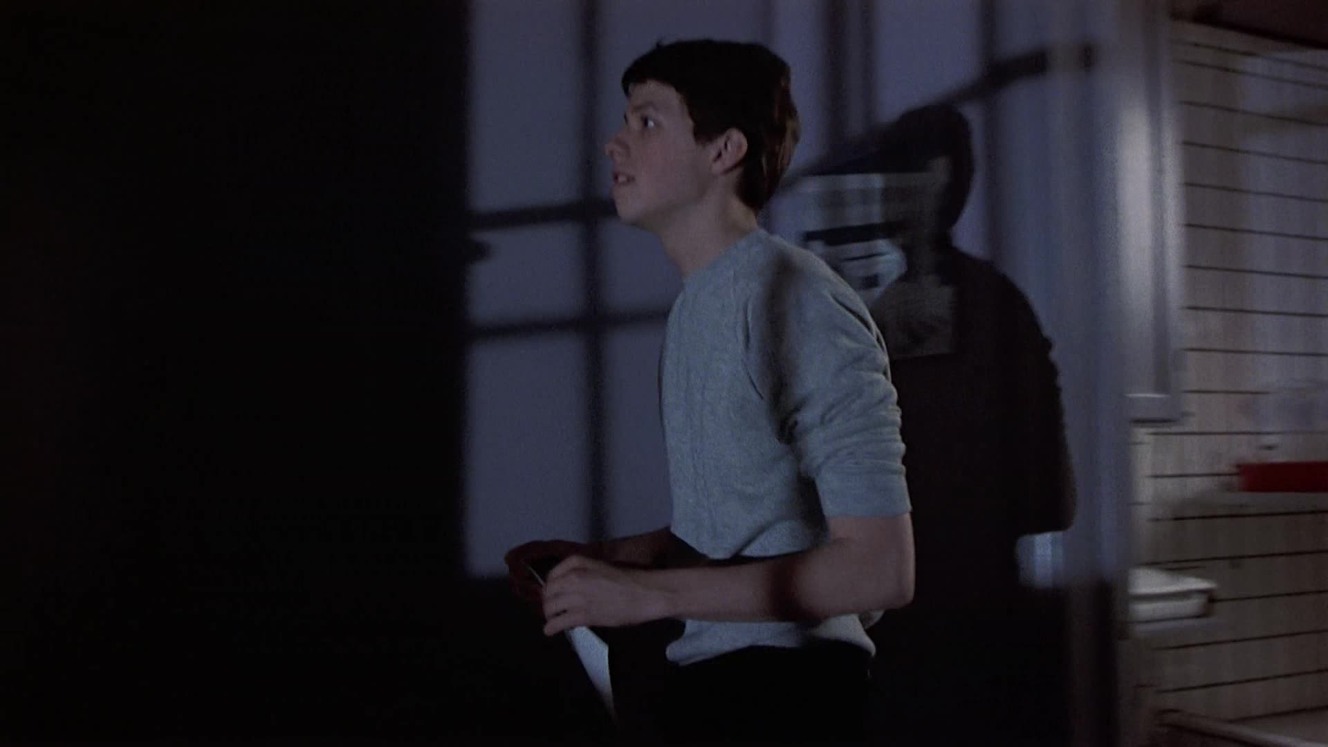 Žádná maličkost =1984, CZ avi