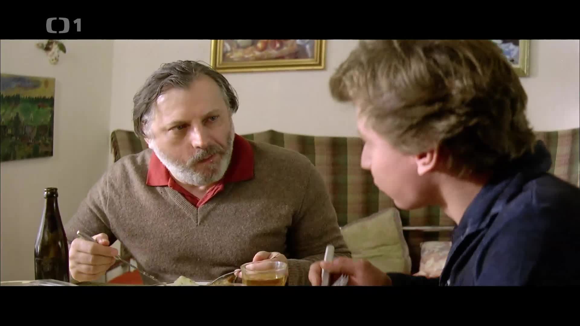 Divoké včely (2001) komedie CZ 1080p mkv