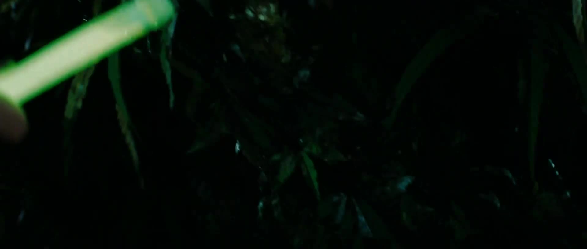 Pátek třináctého (Jared Padalecki, Danielle Panabaker, Amanda Righetti 2009 Horor Thriller Bdrip 1080p ) Cz dabing mkv