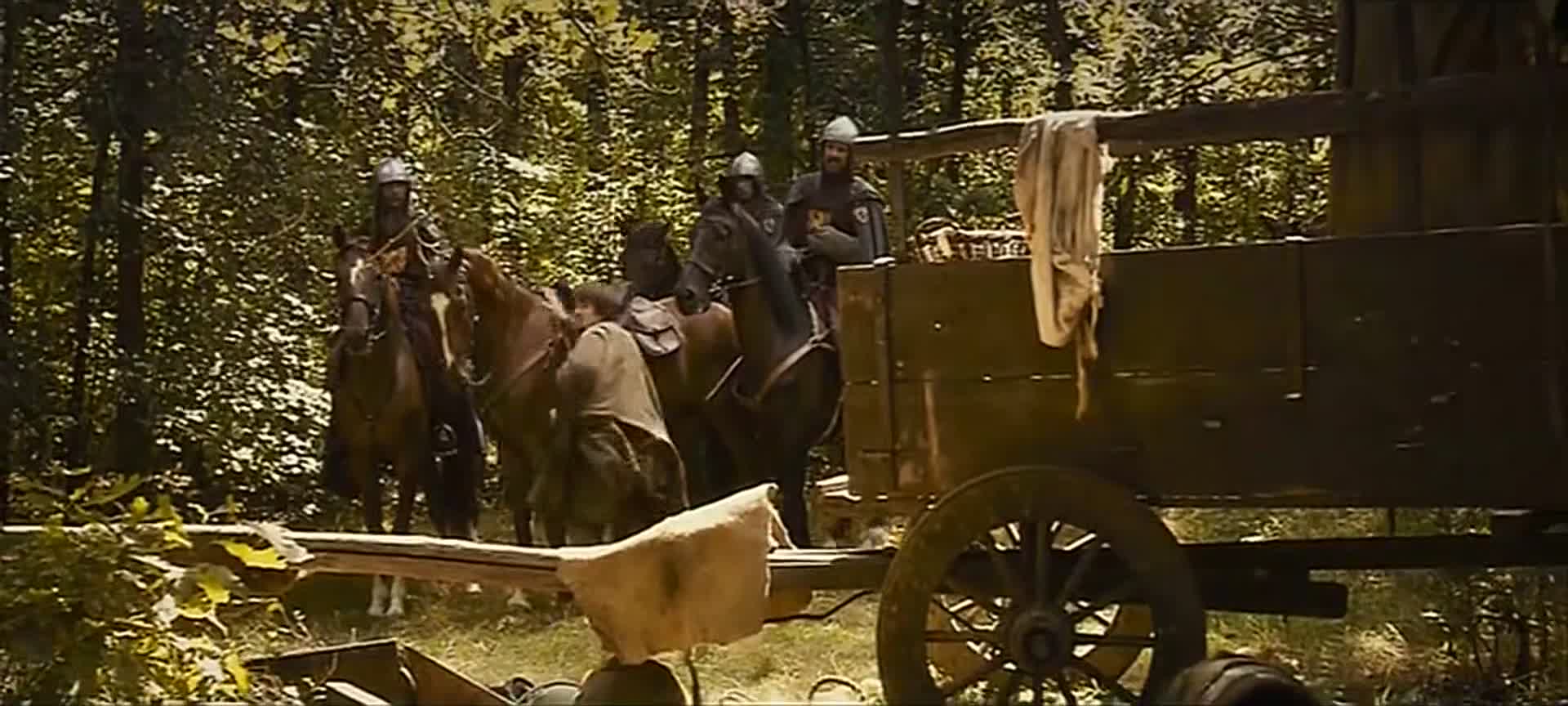 Jménem krále 2009 CZ dabing HD mkv