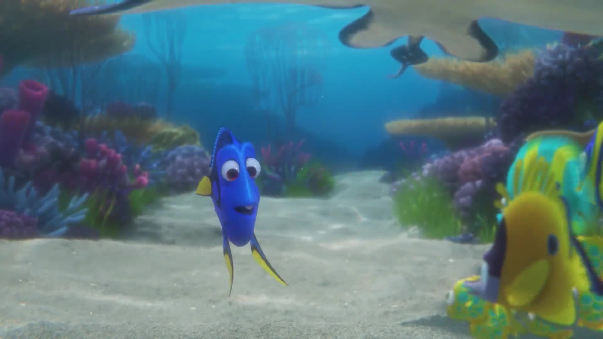Hleda se Dory mp4