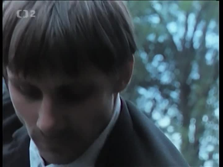 Kráva 1993 CZ dab avi