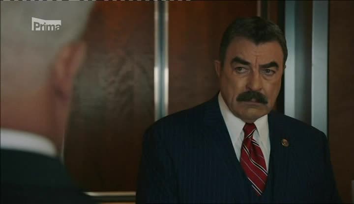 Spravedlnost v krvi (Blue Bloods) 09x07 Za každou cenu avi
