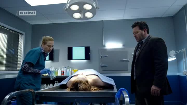 Vraždy v Brokenwoodu S03E01 Černý vdovec TVRip 480p CZdab avi