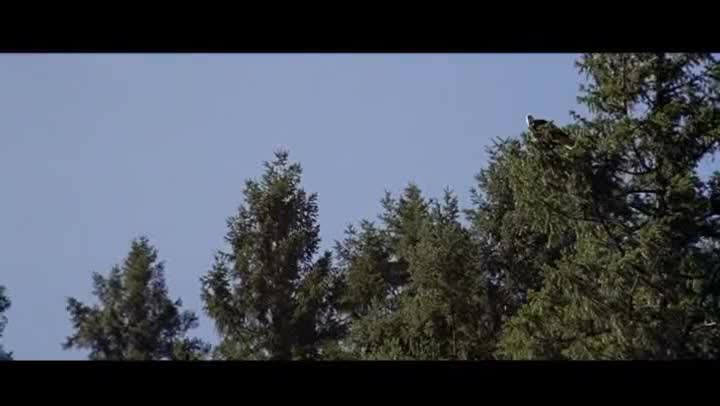 Divoká řeka =1994,,, CZ avi