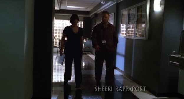 Kriminálka Las Vegas 09 03 Umění napodobuje život mp4