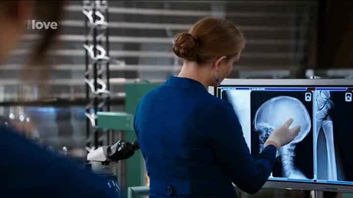 Sběratelé kostí 10x06 Ztracená v cizí zemi avi