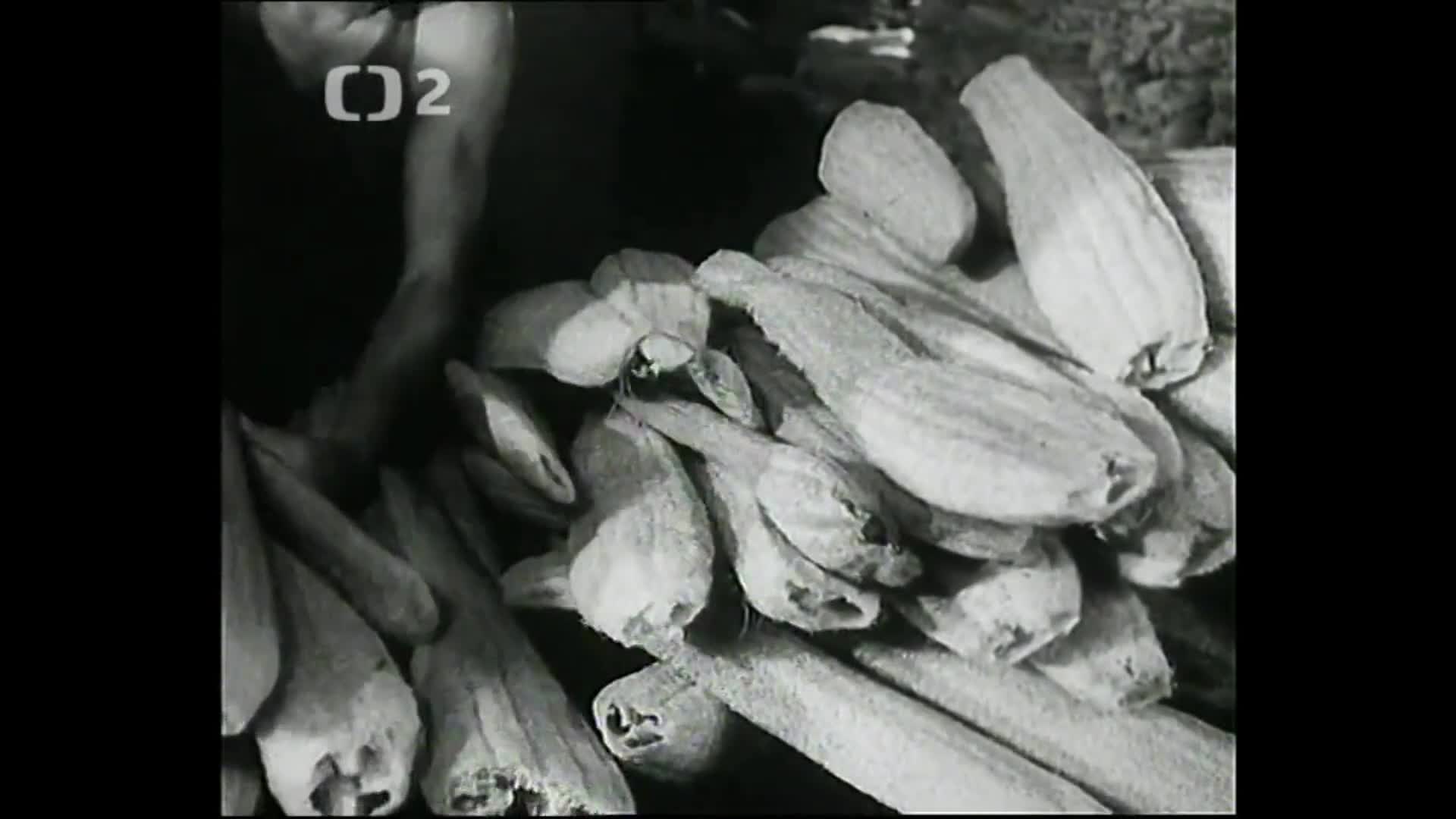 Hledání ztraceného času Jak se co dělá ( 6 ) Vložky do bot, výroba tužky a mincí mkv