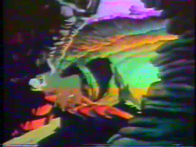 Raro 1982 Rede Globo O Burrinho Marrom com Comerciais e Missa do Galo(480P) avi