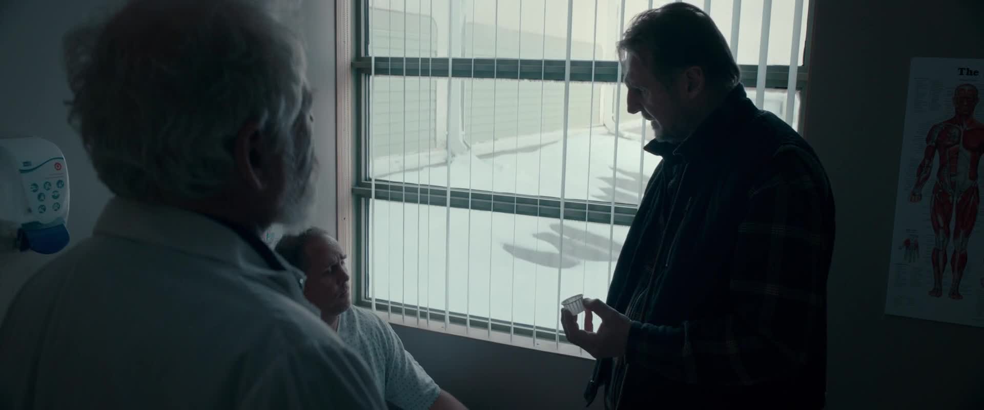 Mrazivá past (Liam Neeson,Marcus Thomas,Laurence Fishburne 2019 Akční Thriller Bdrip 1080p ) Cz dabing mkv