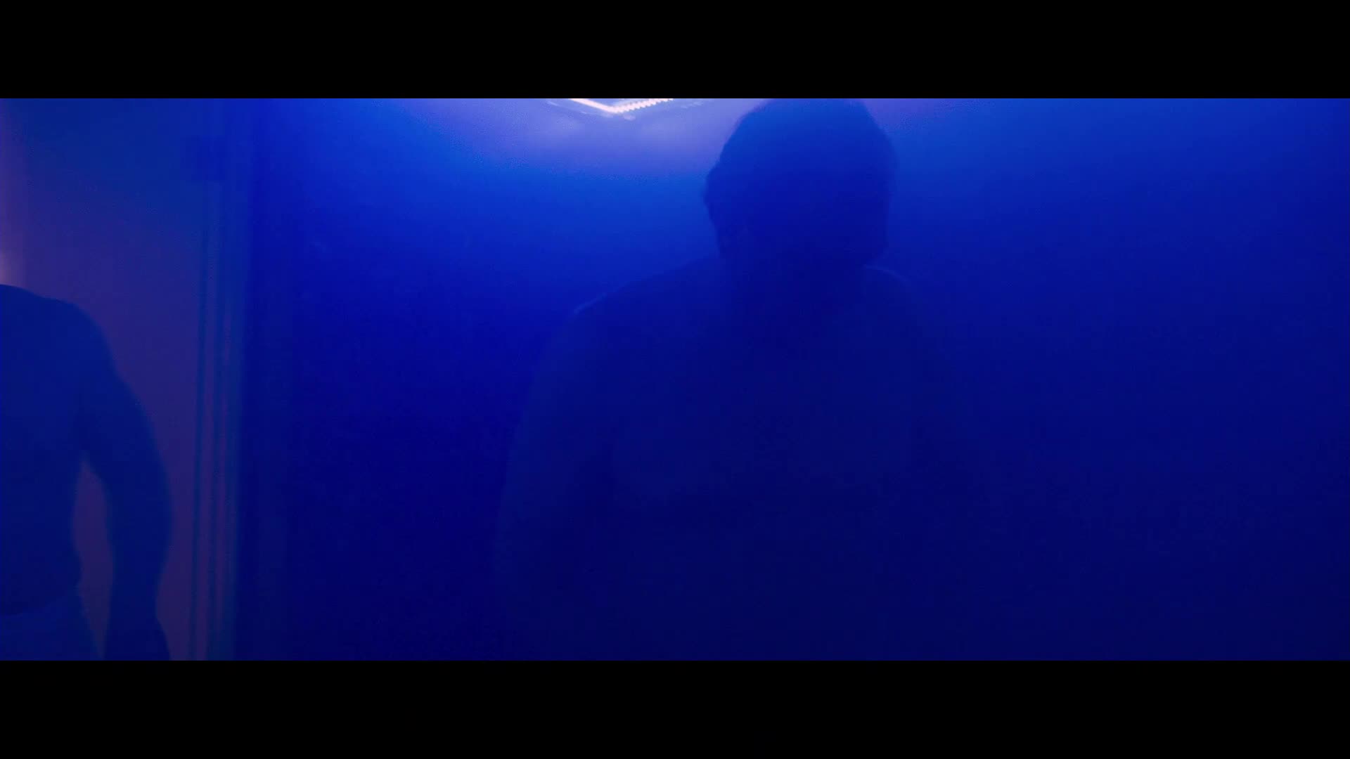 Chladnokrevny odkaz (Jean Reno, Sarah Lind, Joe Anderson 2019 Akční Thriller Dráma 1080p ) Cz dabing mkv