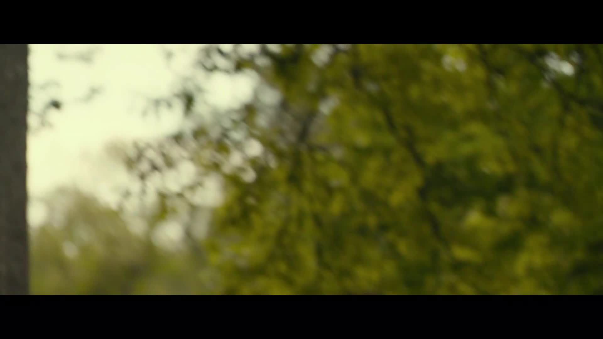 Skvělá Gilly Hopkinsová (Sophie Nélisse,Kathy Bates,Glenn Close 2015 Rodinný Bdrip 1080p ) Cz dabing avi