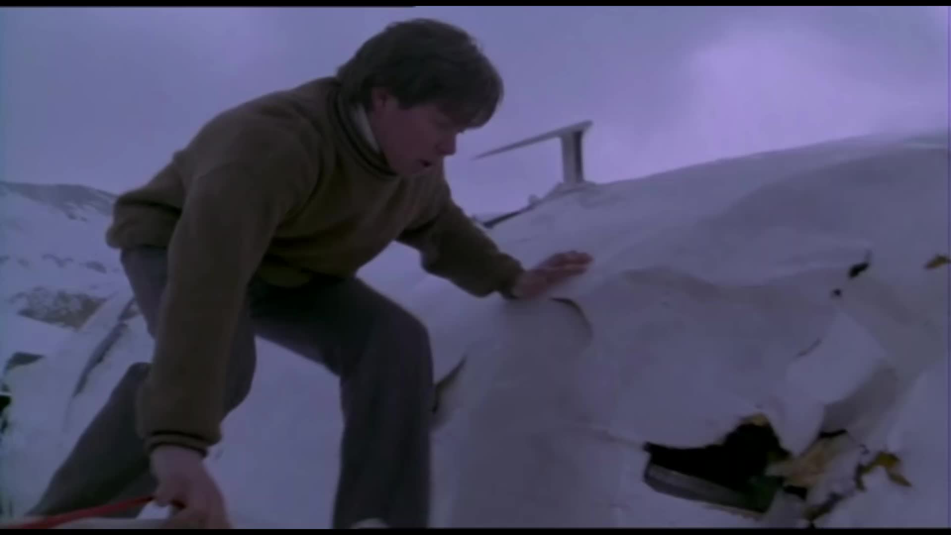 Přežít (Ethan Hawke,Vincent Spano,Josh Hamilton 1993 Drama Akční Dobrodružný Thriller Bdrip 1080p ) Cz dabing mkv