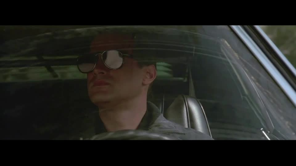 Muž s cejchem smrti (Steven Seagal,Basil Wallace,Keith David 1990 Akčný Dráma Krimi Bdrip 1080p ) Cz dabing avi