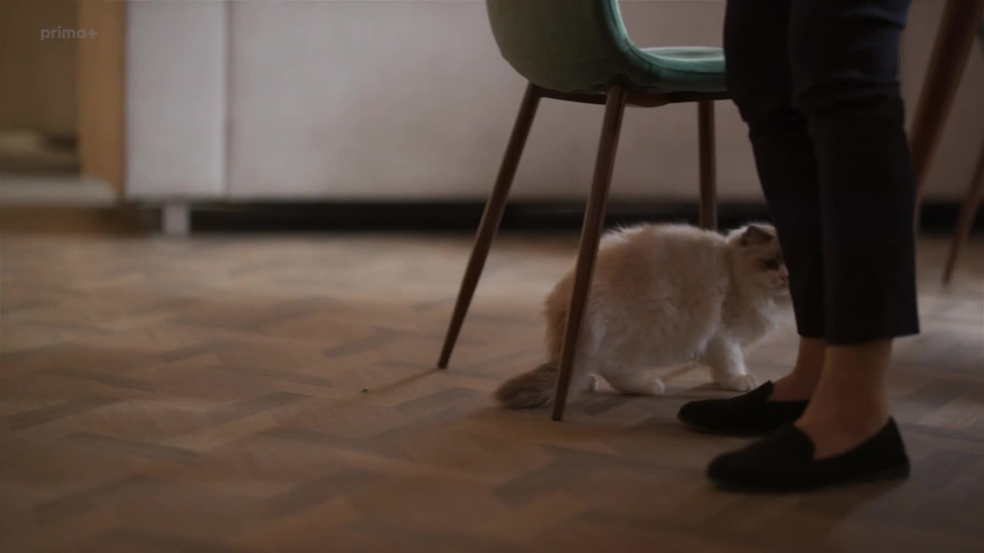 Buddies S01E60 mkv