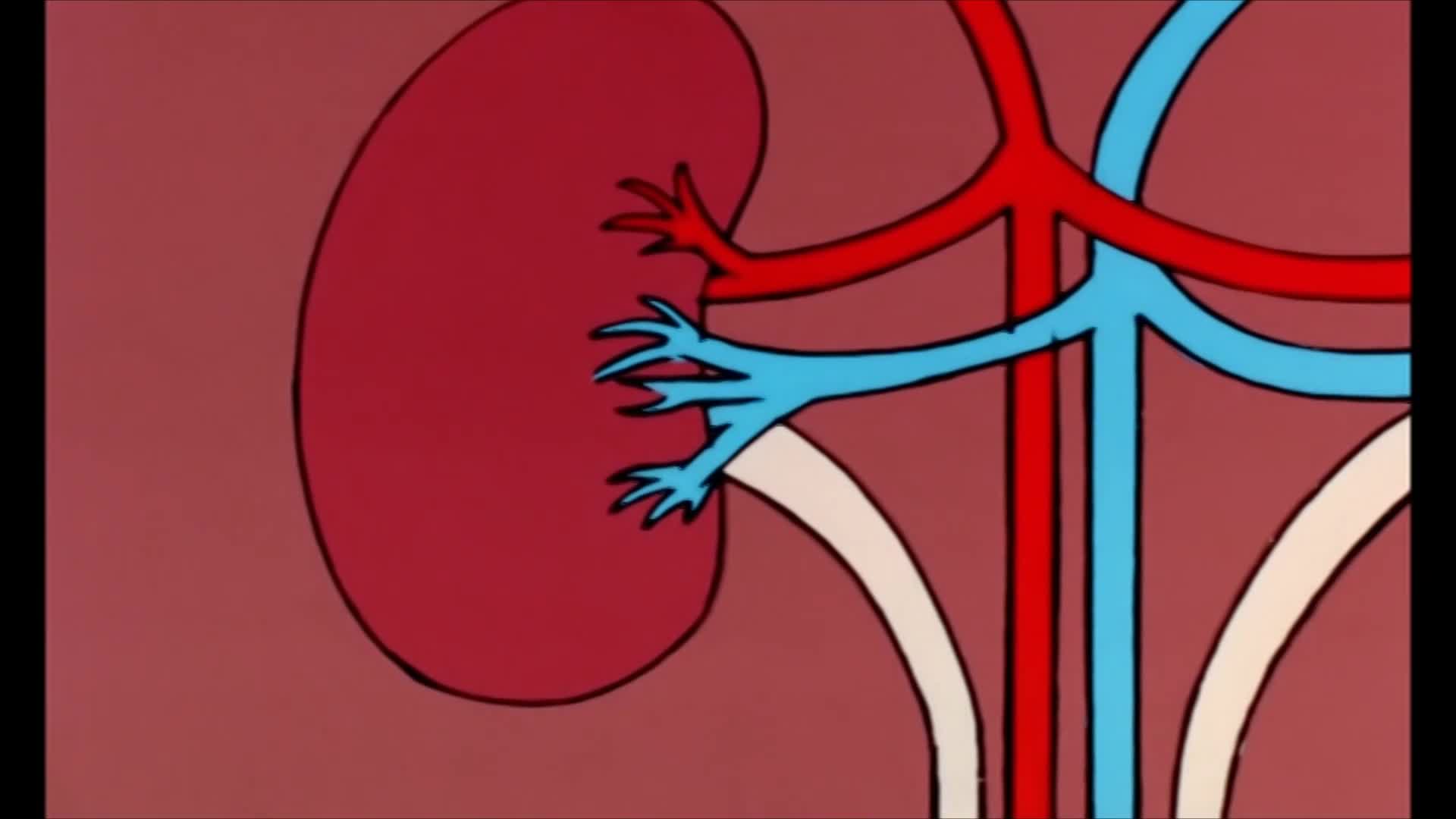 Byl jednou jeden život 5 {1987} animovaný, rodinný 5 dílů 1080p CZ dabing mkv