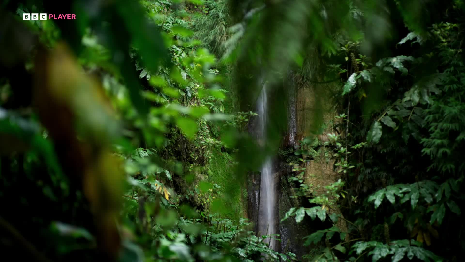 Putování s dinosaury   Walking with Dinosaurs S01E01 2025 DOCU CZ dabing mkv