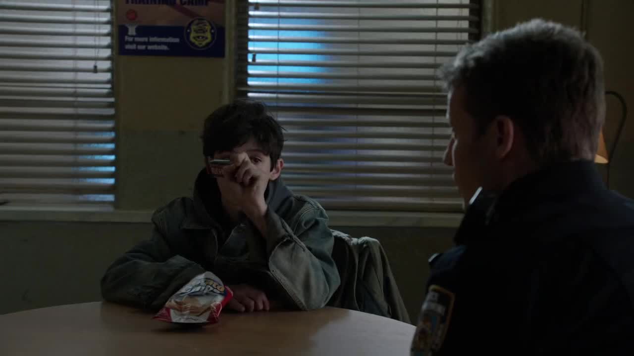 Spravedlnost v krvi (Blue Bloods) 5 12 Sladký domov mp4