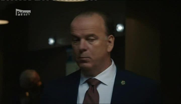 Spravedlnost v krvi (Blue Bloods) 09x03 Hrátky s rozumem avi